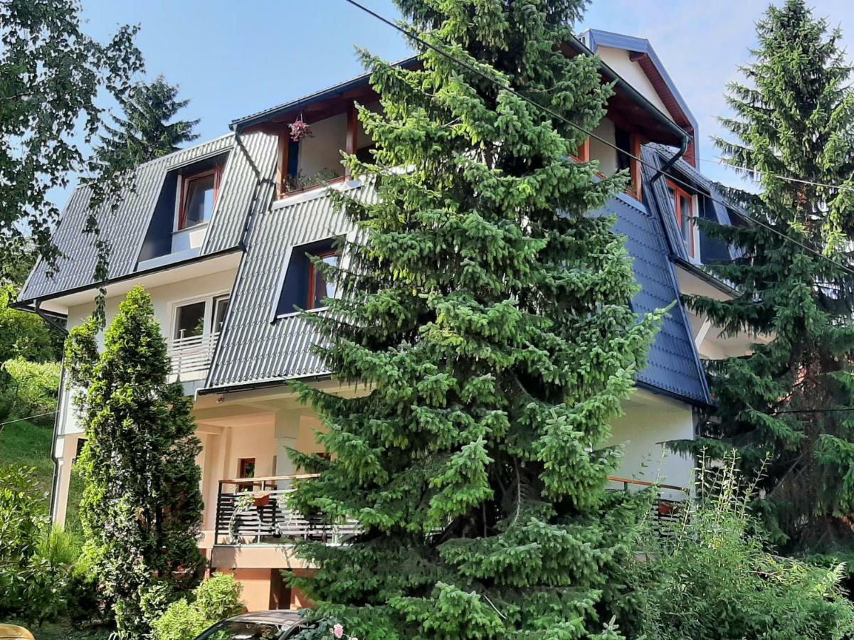 Guesthouse Hill SJJ Exterior foto