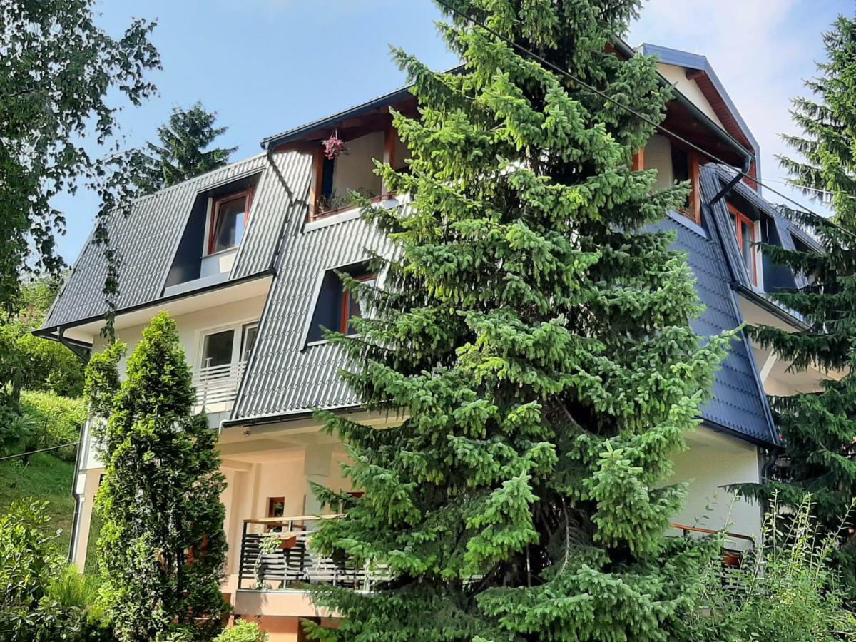 Guesthouse Hill SJJ Exterior foto