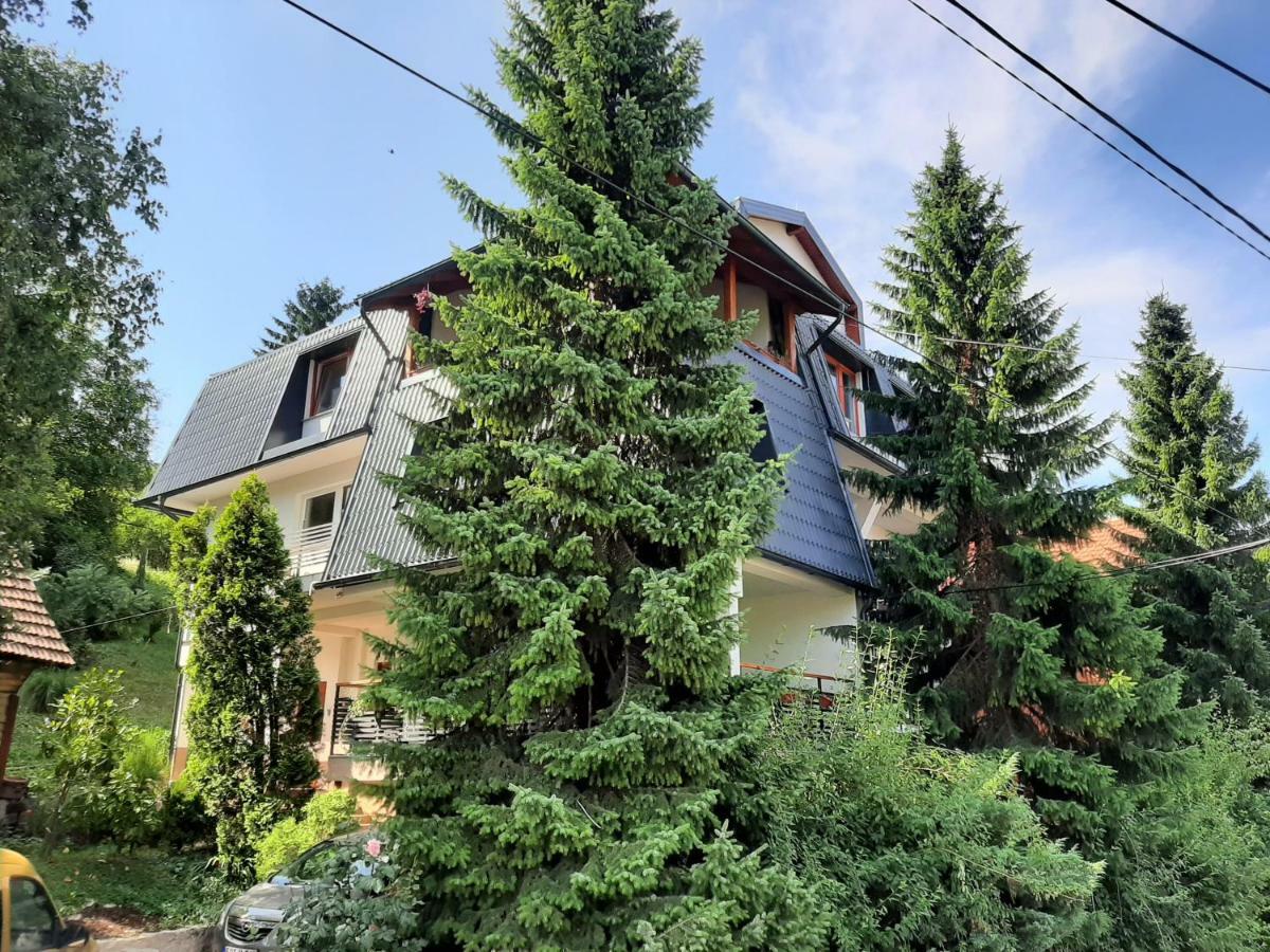 Guesthouse Hill SJJ Exterior foto